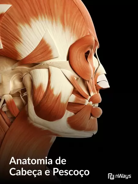 Aula-3-Anatomia-de-Cabeca-e-Pescoco-ASB-Widom.jpg